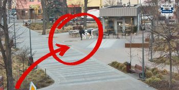 Agresywny 29-latek zatrzymany w Garwolinie – zniszczył figurę i zaatakował policjantów!