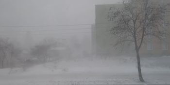 Przymrozki w Płocku i powiecie płockim – ostrzeżenie IMGW!