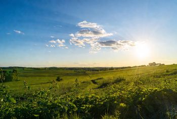 Pogoda na Majówkę 2026 w Pile i okolicy. To będzie prawdziwe uderzenie lata!