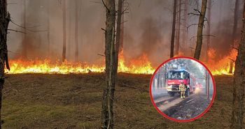 Pożar lasu w Biernatowie. Spłonęło 18 hektarów
