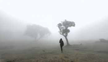 Las Fanal na Maderze. To miejsce wygląda jak z horroru