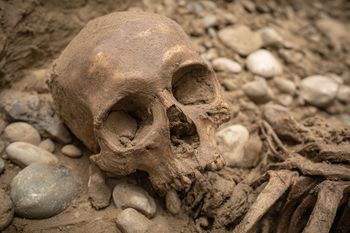 "D’Artagnan odnaleziony po 350 latach? Sensacyjne odkrycie pod holenderskim kościołem"