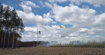 Pożar lasu w Brzeźnicy. W akcji samoloty gaśnicze