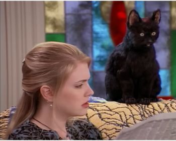 Gwiazda kopnęła czarnego kota. Salem ci tego nie zapomni