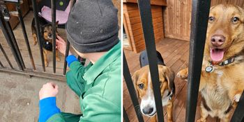 Osadzeni z Płocka pomagają zwierzętom. Resocjalizacja przez empatię i działanie