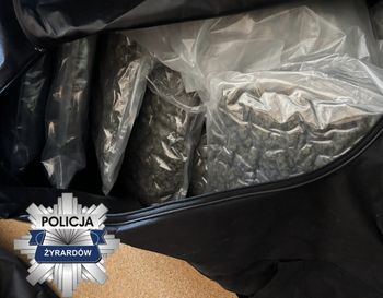 Narkotykowa fabryka pod nosem mieszkańców. Policja przejęła ponad 100 kg substancji i zatrzymała podejrzanych