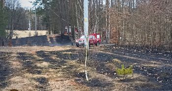 Płonął las w Leśnictwie Nakielno. Do akcji ruszył Dromader i liczne siły straży pożarnej