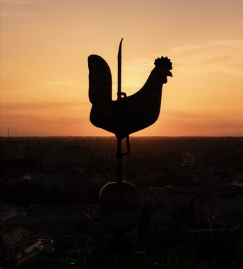 Lublin rozszerza bezpłatne wsparcie dla osób uzależnionych od alkoholu