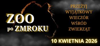 Zobacz zoo inaczej. Nocne zwiedzanie z latarkami już 10 kwietnia