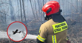 Pożar lasu pod Tucznem. Ogień objął hektary terenu