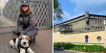 Bohaterska reakcja funkcjonariuszki w Płocku. Przerwała przemoc wobec kobiety!