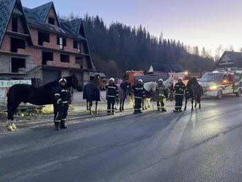Podhale: Konie na gigancie