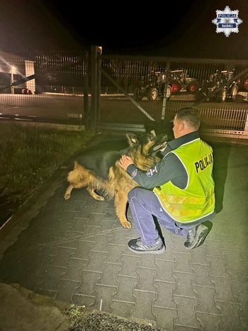Pies biegał po drodze krajowej nr 45. Raciborscy policjanci uratowali czworonoga przed tragedią
