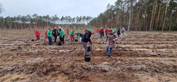 Pracownicy ORLENU sadzili drzewa pod Płockiem – ekologiczna akcja z okazji Dnia Ziemi!