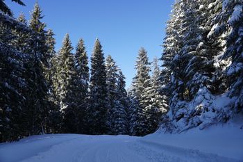 TPN zamknął cały teren parku