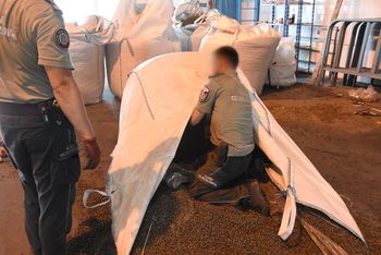 Kontrabanda w pellecie. Kierowca skazany za przemyt papierosów wartych miliony