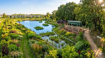 Błękitno-zielona rewolucja w Pile. Tak zmieni się region