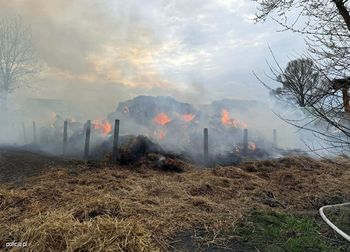 Seria podpaleń słomy rozwiązana. Trop psa doprowadził policję prosto do sprawców