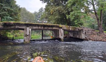 Spływ kajakowy Dobrzycy 2026. Klub PTTK "Gwda" zaprasza na 21 km przez Gminę Szydłowo