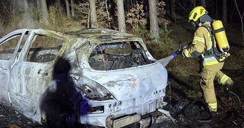 DW 179. Auto stanęło w ogniu. Szybka akcja strażaków