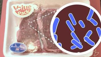Rozmrażanie mięsa w mikrofalówce lub lodówce może powodować poważne problemy zdrowotne. Zobacz jak tego uniknąć