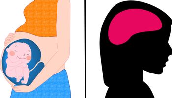 Struktura mózgu kobiety zmienia się po urodzeniu pierwszego dziecka. Co ma na to wpływ?