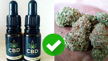 Olej CBD pozyskiwany z marihuany leczy m.in. epilepsję, depresję i otyłość. Jest legalny