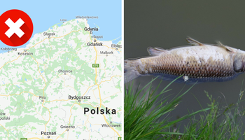 Lista polskich plaż z najbardziej skażoną wodą. Pomimo tego są tam kąpieliska!
