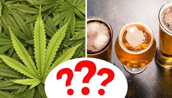 Marihuana VS alkohol. Naukowcy w końcu wiedzą, co jest gorsze dla Twojego mózgu!