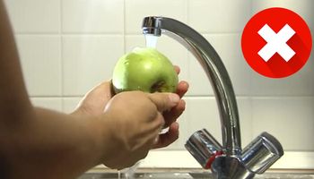 Jabłko przemyte w wodzie wykazało wzrost bakterii po 48 godzinach! To przerażające