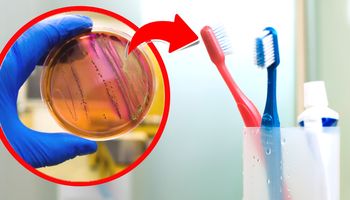 Twoja szczoteczka do zębów może mieć na sobie bakterie E. coli. Łatwo to sprawdzisz