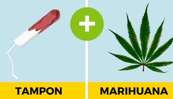 Tampon z marihuaną ukoi ból menstruacyjny szybciej niż leki. Testerki potwierdzają!
