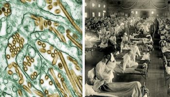 Epidemie i pandemie, które występowały głównie w XX wieku. Czy nadal nam zagrażają?