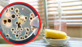 5 najbrudniejszych rzeczy, które codziennie dotykasz. To siedlisko bakterii i grzybów!
