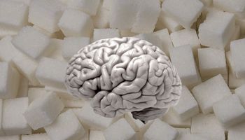 Zbadano wpływ cukru na mózg. Efekty są podobne, jak przy zażywaniu narkotyków
