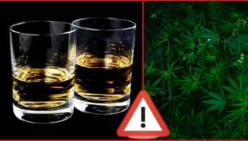 9 faktów o marihuanie i alkoholu. Która z tych używek jest dla nas bardziej niebezpieczna?