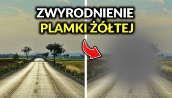 Oto jak ludzie z mniej powszechnymi wadami wzroku widzą świat. Ciężko to sobie wyobrazić