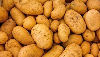 6 powodów, które przemawiają za tym, żeby jeść ziemniaki. Nie wykluczaj ich ze swojej diety