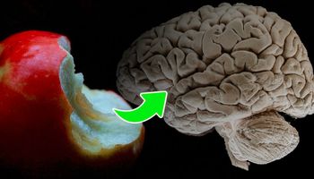 Naukowcy twierdzą, że wystarczy zjeść pół jabłka dziennie, aby znacząco poprawić kondycję mózgu