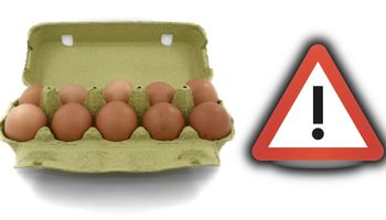 UWAGA! GIS ostrzega przed jajkami z Biedronki. W partii jaj wykryto bakterie salmonelli