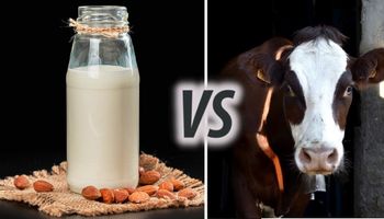 Mleko migdałowe – czy faktycznie jest zdrowsze od mleka krowiego? Spójrzmy prawdzie w oczy