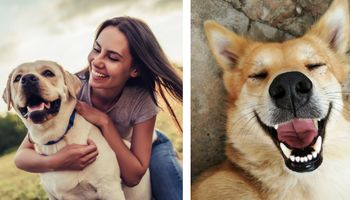 7 korzyści zdrowotnych z posiadania psa. Młodszy wygląd i dłuższe życie to tylko kilka z nich