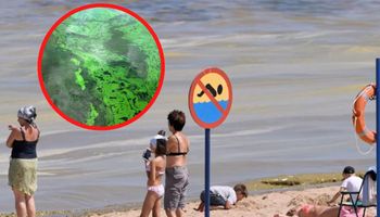 Sinice atakują polskie morze! Sanepid zamyka plaże, a urlopowicze obawiają się o swoje zdrowie