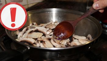 Jadalne grzyby mogą stać się trujące! 7 wskazówek czego nie robić by sobie nie zaszkodzić