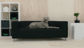 IKEA przygotowała specjalną kolekcję mebli i gadżetów dla domowych zwierzaków