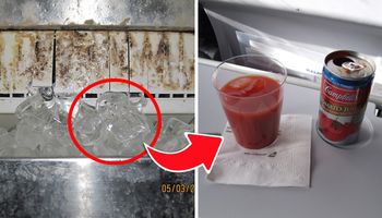 Maszyny do lodu na pokładzie samolotu czyszczone są raz na rok. Uważaj na 14 tajemnic Stewardess