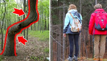 Jeśli w lesie trafisz na nienaturalnie wygięte drzewo… lepiej miej oczy szeroko otwarte!