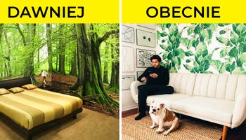 Stare fototapety z lasami to już przeszłość! Oto najnowsze trendy, które wyglądają nieziemsko