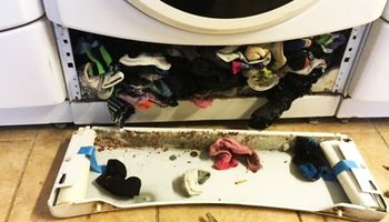Zgubione skarpetki mogą trafić do niechcianej części pralki. Jest sposób jak temu zapobiec