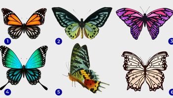 Motyl, którego wybierzesz, może ujawnić ukryte strony Twojej osobowości